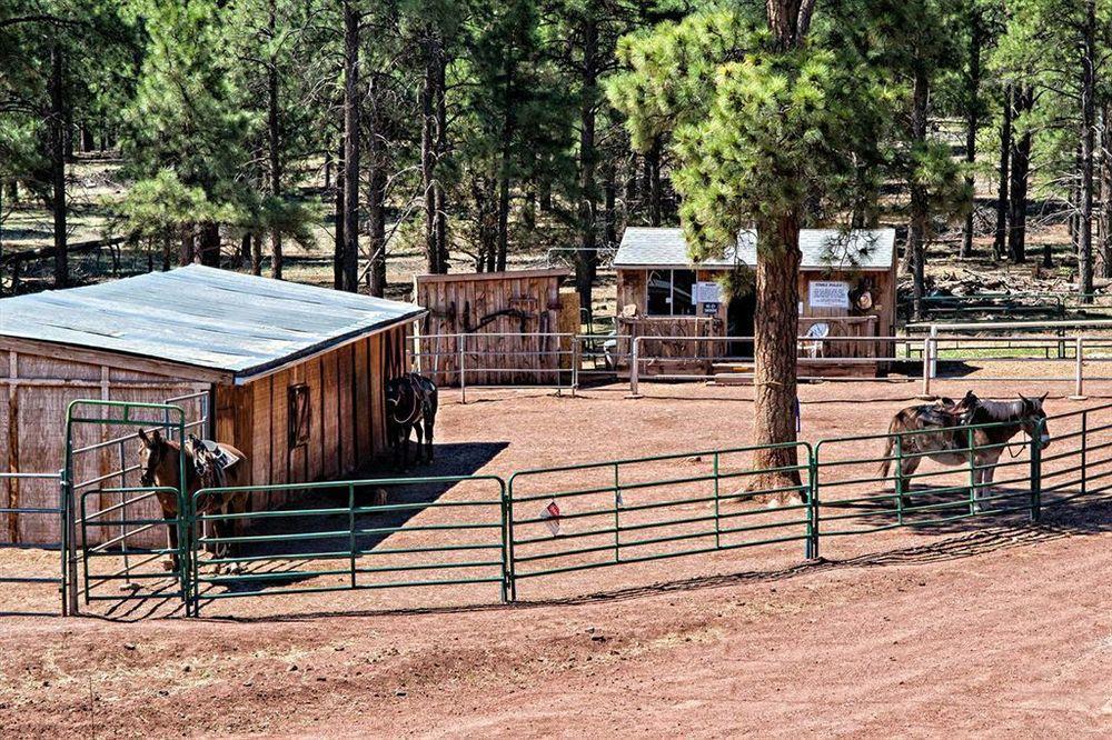 Mountain Ranch Resort At Beacon Hill ウィリアムズ エクステリア 写真