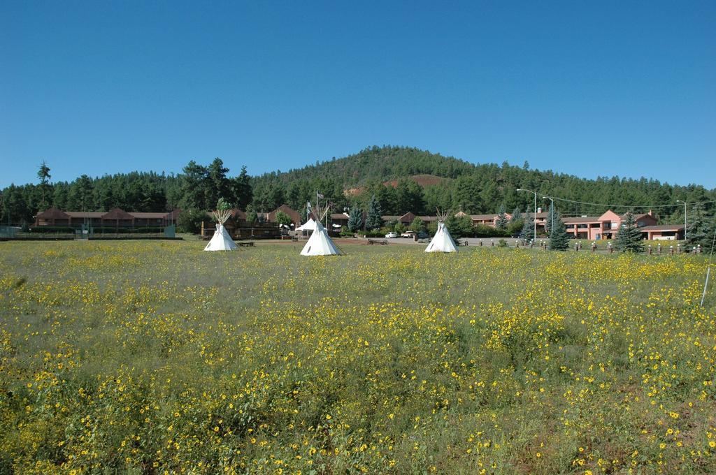 Mountain Ranch Resort At Beacon Hill ウィリアムズ エクステリア 写真